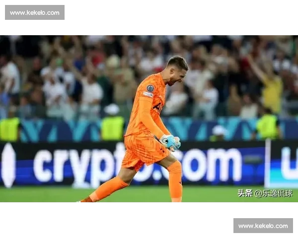 汉堡布鲁日竞逐武什科维奇 热刺新帅弗兰克将评估租借可行性